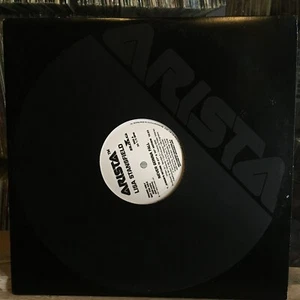 [SOUL]~NM 12"~LISA STANSFIELD~Never Gonna Fall~[x3 Remixes]~{1997~ARISTA~WLP PRO - Imagen 1 de 3