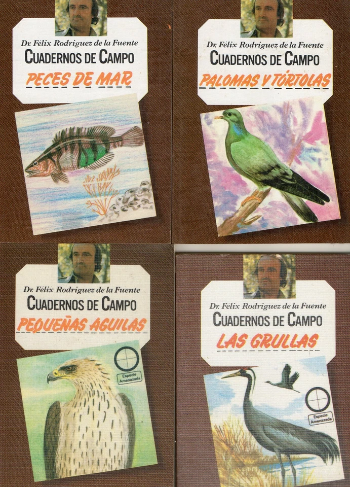 Peces de mar. Palomas y tórtolas. Pequeñas águilas. Las grullas - Imagen 1 de 1