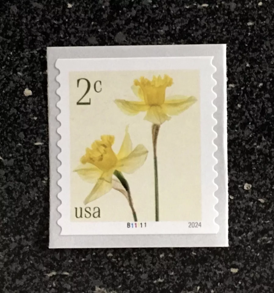 2024USA #5903 2c Daffodils - Plate Number Coil Single - PNC Mint flowers - Image 1 of 1