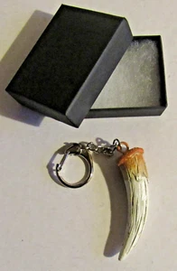 F) KEYRING RESIN SABRE TOOTHED TIGER TOOTH SMILODON MAMMAL CARNIVORE ANIMAL CAT - Picture 1 of 2