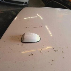 2010-2011 TOYOTA CAMRY SHARK ROOF ANTENNA OEM - Picture 1 of 1