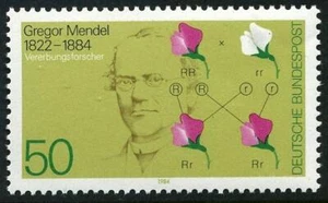 Germany 1411, MNH. Michel 1199. Gregor Mendel, Basil Law of Heredity, 1984. - Picture 1 of 1