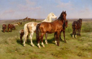 Dream-art Oil painting lovely and cute animals Horses-in-a-Field-Rosa-Bonheur - Picture 1 of 1