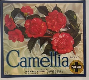 LABEL Cal Sweet Citrus Oranges California Redlands Camellia Flowers - Picture 1 of 1