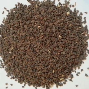 Harmala Samen (Pegan || Wildraute Harmala Samen | 250g | بذور حرمل - Bild 1 von 1