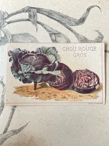 Etiquette Chromo Légume ancien Vilmorin chou rouge Horticulture Catalogue - Imagen 1 de 1
