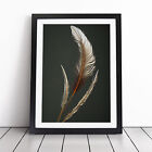 Angel Feathers Wall Art Print Framed Canvas Picture Poster Decor Living Room