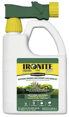 Ironite 100525937 32 oz Ready To Spray Liquid Iron Supplement Lawn Fertilizer - Image 1 of 4