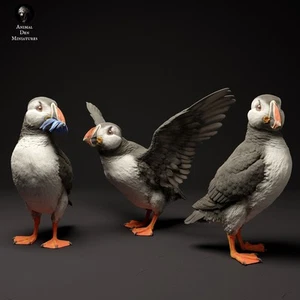 Atlantic Puffins – 3D Printed Model - Unpainted - Animals Miniatures - Imagen 1 de 3