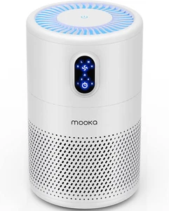Air Purifiers for Home Large Room up to 1076 Ft², H13 True HEPA Air Filter Clean - Picture 1 of 12