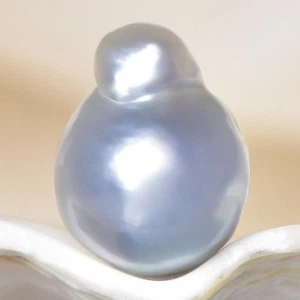 South Sea Pearl Bi-color Baroque 11.95 mm Maluku Indonesia 1.42 g undrilled - Picture 1 of 7