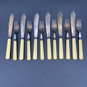Maple & Co. Set coltelli e forchette da pesce placcati argento manici in celluloide 12 pezzi vintage - Foto 1 di 12