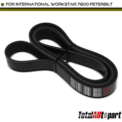 Cinturón Serpentine 77.58" para International Harvester 8600 Peterbilt Sterling Truck Foto 1 de 4