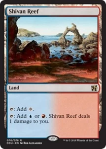 MTG - SHIVAN REEF - Duel Decks: Elves vs. Inventors (R) - Picture 1 of 1