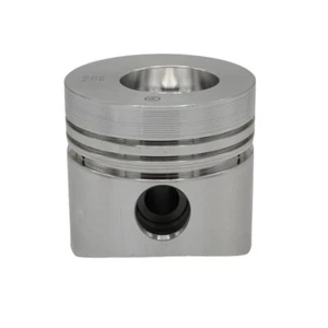 KOLBEN (1.00-96.00mm):RUGGERINI/RD 290 - Picture 1 of 2