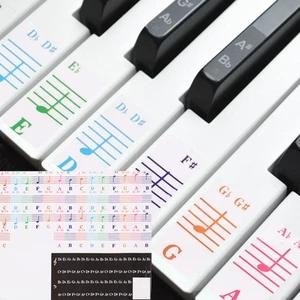 Piano Keyboard Stickers for 88/76/61/54/49/37 Keys, Letter Multicolor - Picture 1 of 7