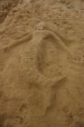 Photo 6x4 Drawing in sand Southwold One of two rather lovely sand-mermaid c2007