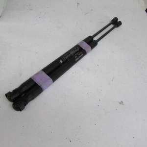 Pistoncini portellone posteriore per Fiat Punto 188 1999-2003 usati (3095) - Foto 1 di 1