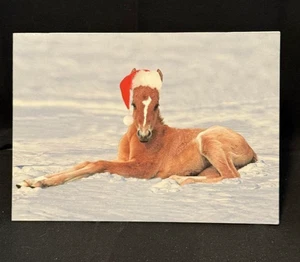 Foal with Santa Hat Card #3325 - Picture 1 of 4