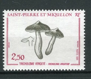 FUNGHI - MUSHROOMS SAINT PIERRE ET MIQUELON 1989 - Picture 1 of 1