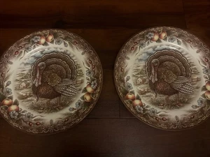 ROYAL STAFFORD ENGLAND BROWN COLOR TURKEY FRUIT BORDER Thanksgiving Dinner 11” - Picture 1 of 4