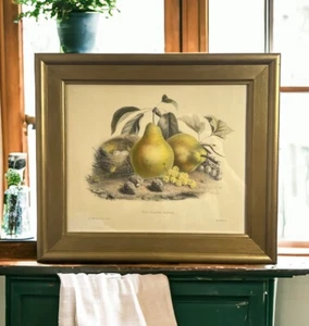 "Impresión litográfica artística vintage pares Groseilles Frambroises J Monrocq 15"" x 13""" - Imagen 1 de 18