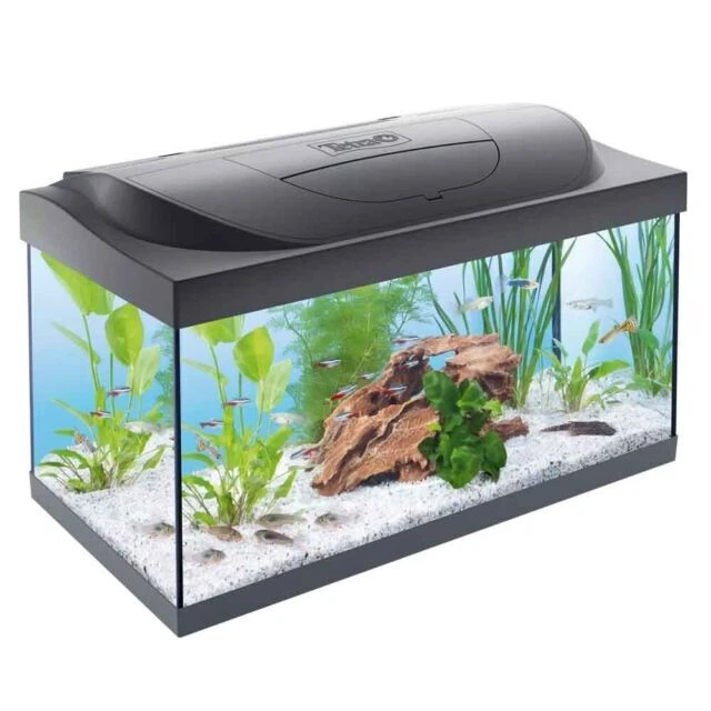 Tétra Starter Line 54L Acquario con Luce LED - Nero