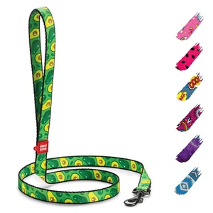 Nylon Dog Leash for Small Dogs and Medium Dogs 4 Ft Strong Dog Leash for - Picture 1 of 6