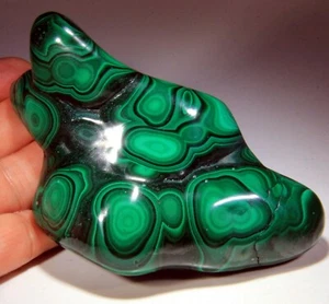 5" Top Quality Polished Bull's Eye Malachite, Congo! M186 - Picture 1 of 5