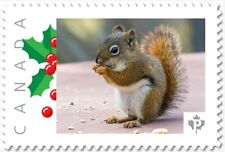 lq. SQUIRREL = Picture Postage Personalized stamp MNH Canada 2018 p18-01sn20