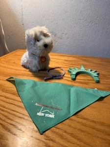 Set Sciarpa Corona Verde Statua della Libertà American Girl Coconut Dog New York City  - Foto 1 di 5