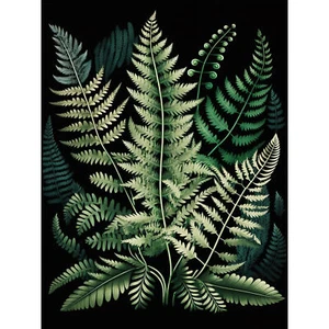 Different Fern Fronds Detailed Leaves Illustration Huge Wall Art Print 18X24 In - Picture 1 of 5