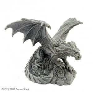 Huesos Miniaturas Tesoro Dragón Negro REM20347 D&D - Imagen 1 de 3