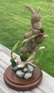 2000 Country Artists Figurine Otter Cubs Swimming in Box - b5 - Picture 1 of 8