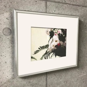 Gerhard Richter Limited Edition matt gerahmt Blumen 764-2 neu unbenutzt aus Japan - Bild 1 von 6