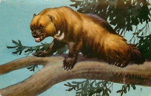Postal Wolverine 1958 W. A. Webber firmada - Imagen 1 de 2