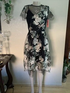 Abito da donna CHI CHI LONDON UK taglia 12 NUOVO CON ETICHETTE foderato trasparente ricamo floreale - Foto 1 di 9