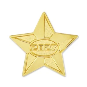 PinMart's 2027 Gold Star Pin - Picture 1 of 4