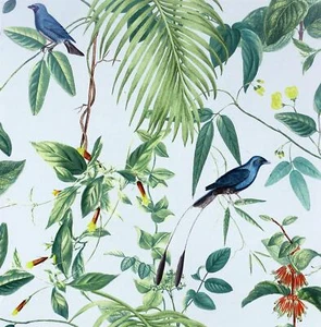 Exotic Modern Garden Blue/Green Paste The Wall Birds Leaf Wallpaper - Picture 1 of 4