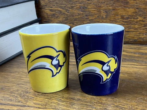 (2) Two Buffalo Sabres Shot Glass Glasses Set 1.5 oz NHL Hockey Official VGUC Cover