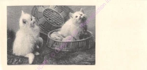 Mignonette Carta Antigua Chatones N1 - Bild 1 von 2