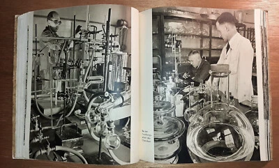 Chemische Fabrik E. Merck Darmstadt 1937 96 Seiten Fotos meist v Dr. Paul Wolff - Bild 1 von 4