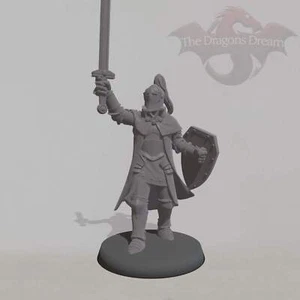 Male Knight - Heroquest, Dungeons and Dragons, 5e, Pathfinder - Miniature - Picture 1 of 4