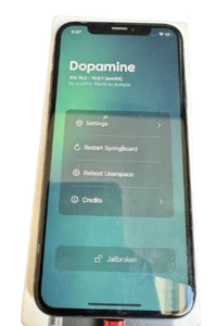 iPhone X 256GB | Dopamina JB | Bezpieczny telefon Pokémon Go Spoofing (zainstalowany iPogo) - Zdjęcie 1 z 2
