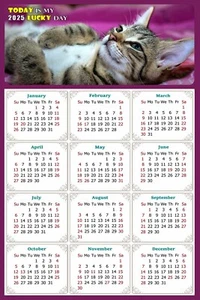 2026 Magnetic Calendar - Today is My Lucky Day - Cat Themed 08 (5.25 x 8) - Picture 1 of 5