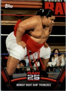 2018 Topps WWE Then Now Forever 25 Years of RAW Wrestling Card Pick
