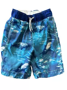 GAP Shark Attack Sharks Swim Trunks Board Shorts Swimwear Boys XS (4-5) - Picture 1 of 4