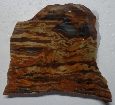 WRG- Cuadro cuerno de búfalo losa de jaspe 41 gramos lapidario de Wyoming Foto 1 de 4