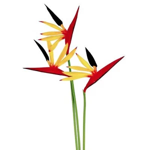 Tallos Eco Bird of Paradise - Flores tropicales artificiales Strelitzia toque real - Imagen 1 de 6