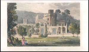 Antigua aguatinta LUSCOMBE Dawlish Devon de la década de 1820 de Ackermann (AF133) - Imagen 1 de 1